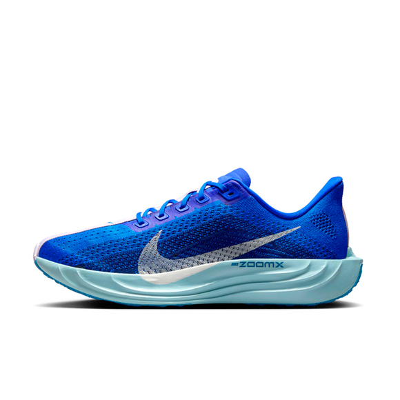 Nike Pegasus Plus CM M - HQ1719-400