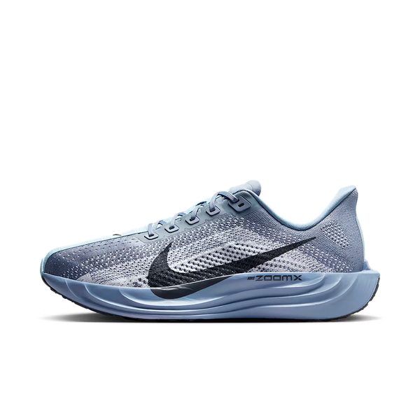 Nike Pegasus Plus M - FQ7262-402 – Dynamic Sports