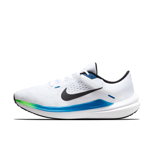 Nike Nike Winflo 10 M - DV4022-103